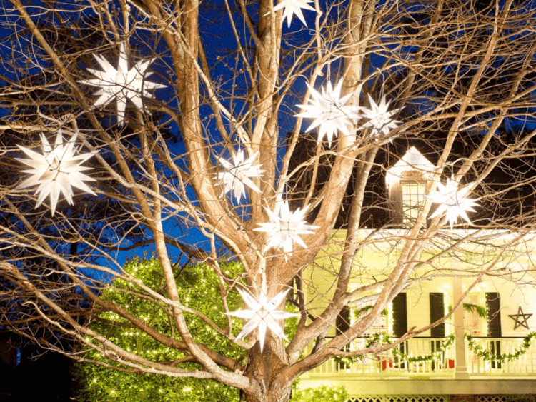 tree-lights